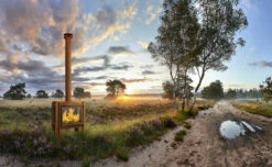 Terrassenkamin Cortenstahl RB73 FENNEK 80 -Cafiro Geschäft fennk 80 02